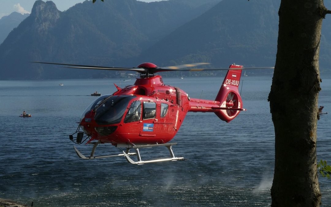 Dinas Damkar Banjarbaru Hapus Sarang Tawon di Pelabuhan