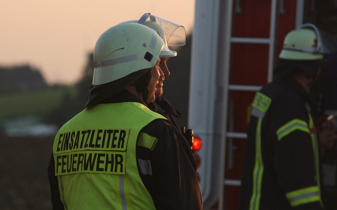 Dinas Damkar Banjarbaru Hapus Sarang Tawon di Area Industri